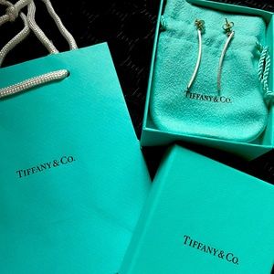 Tiffany&Co Silver T Earrings